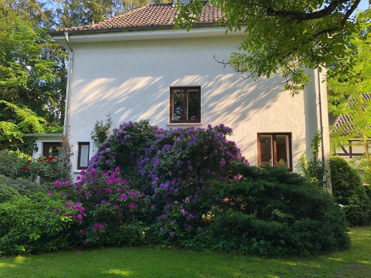 Ferienhaus Hudemuehlen Keine Monteure Hodenhagen Zewnętrze zdjęcie